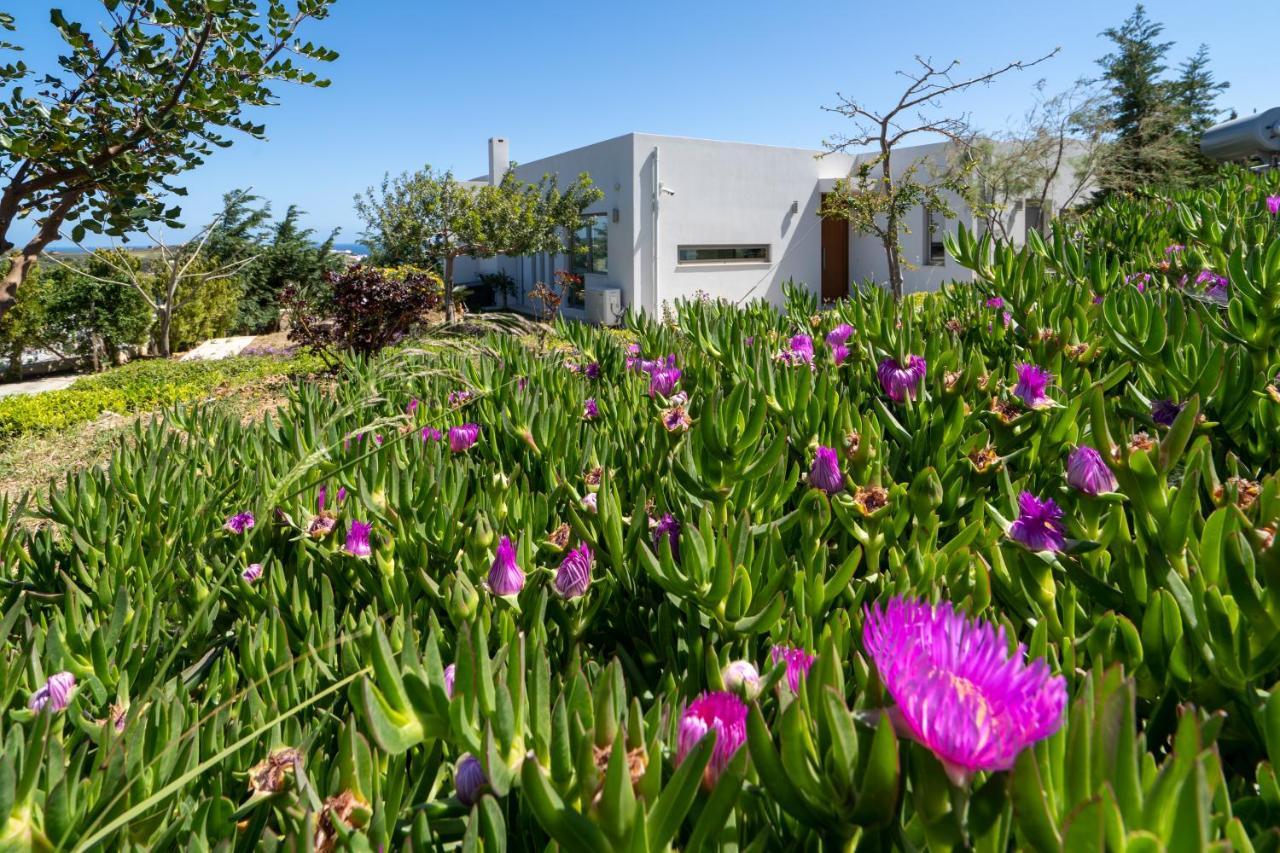 Sea View Villas Αγία Πελαγία  Εξωτερικό φωτογραφία